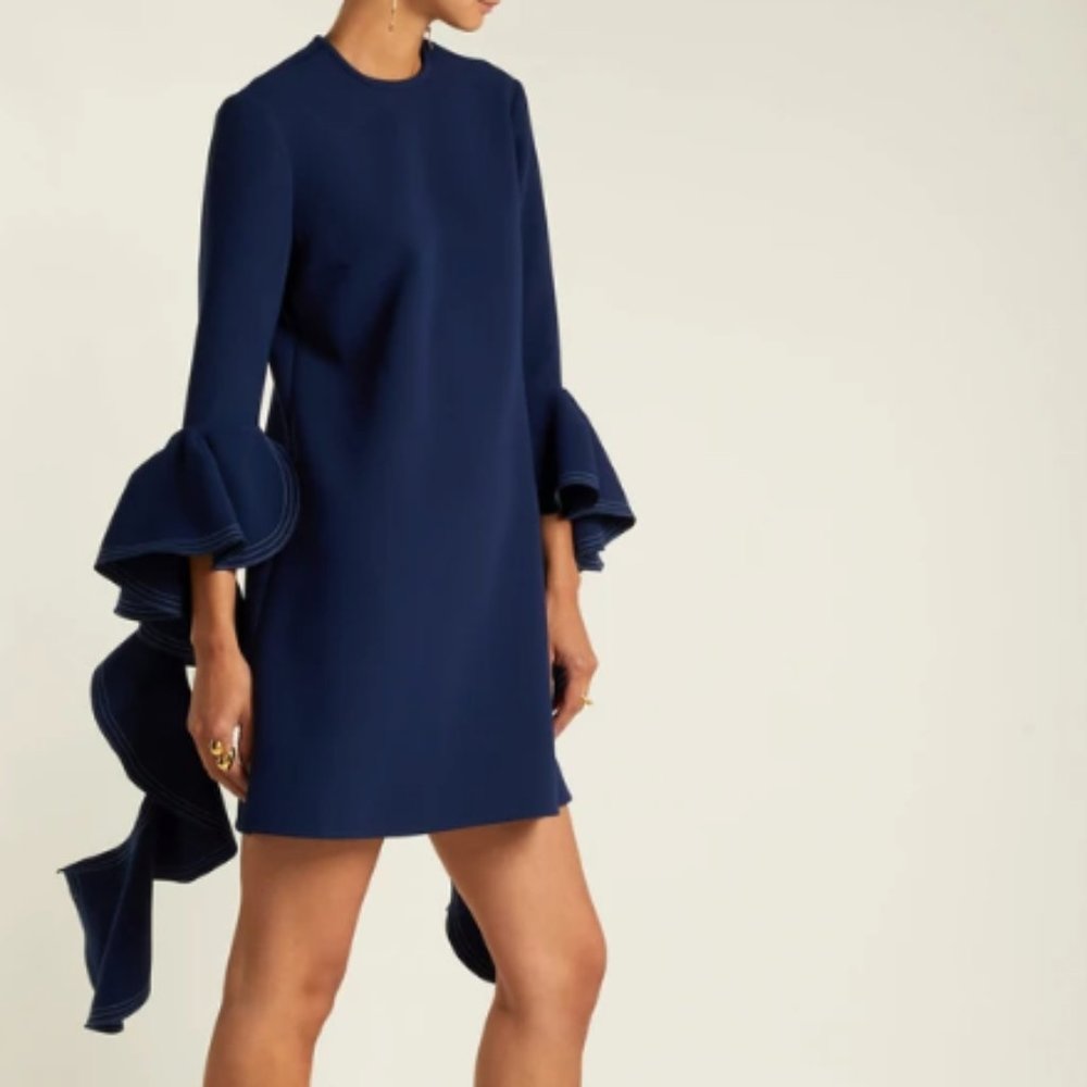 Ellery Kilkenny Ruffle Sleeve Shift Dress (UK 8)